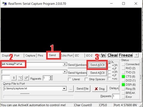 realterm serial capture program download